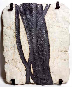 Keramik050810_20_big